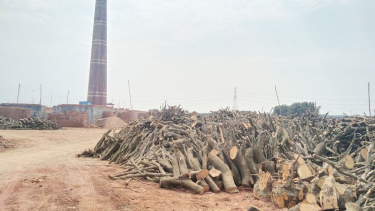 হাইকোর্টের নির্দেশনার পরও চাঁপাইনবাবগঞ্জে বন্ধ হয়নি শতাধিক ইটভাটা