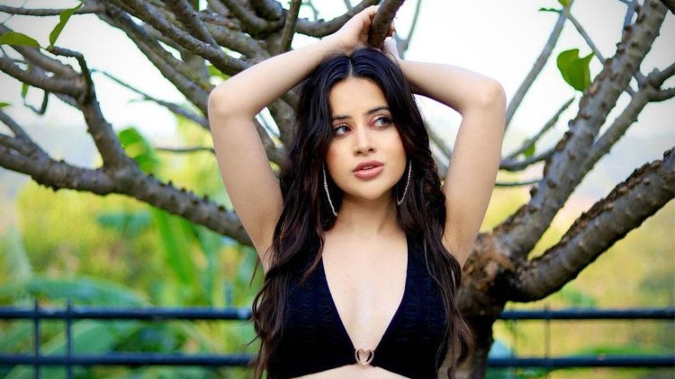 উরফি জাভেদ দুবাইয়ে আটক