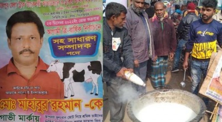 ভোটারদের দুধ খাওয়াচ্ছেন গাভী মার্কার প্রার্থী