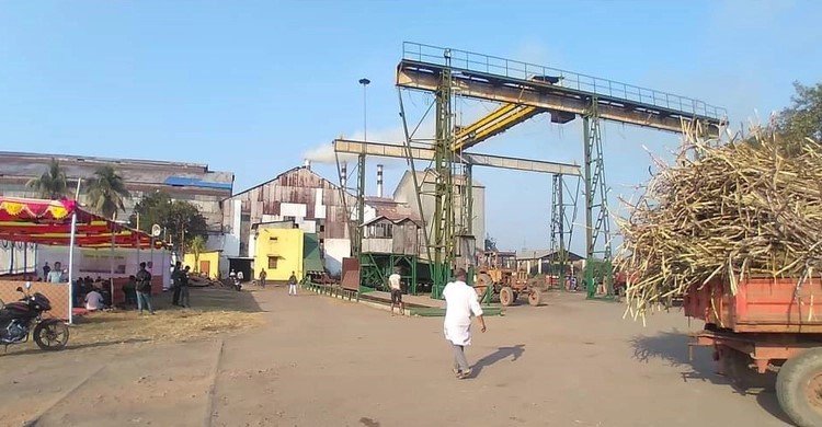 সাড়ে ৬০০ কোটি টাকা লোকসান মাথায় ফরিদপুর চিনিকলে আখ মাড়াই শুরু