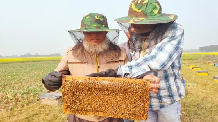 ২৬০০ টাকায় শুরু, এখন মাসে আয় লাখের বেশি