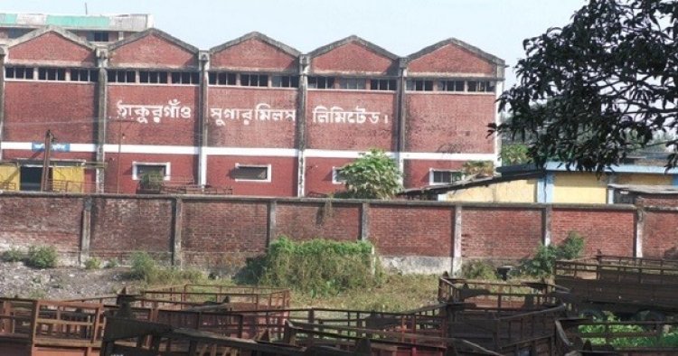 চিনিকলে ৭ কোটি টাকা লোকসানের বোঝা নিয়ে আখ মাড়াই শুরু