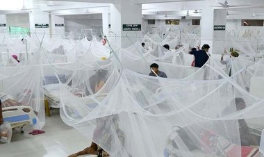 বছরের প্রথম দিনেই ডেঙ্গু আক্রান্ত ৪১ রোগী হাসপাতালে ভর্তি