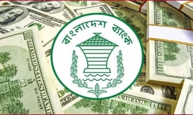 রিজার্ভ চুরির তদন্ত প্রতিবেদন জমার তারিখ ৬৯ বার পেছাল