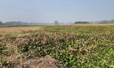 মুন্সীগঞ্জে গ্রামছাড়া অর্ধশতাধিক পরিবার