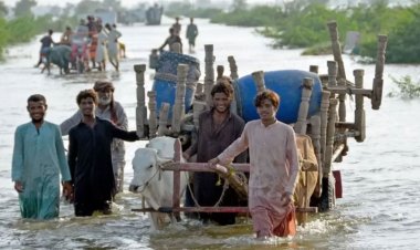  বন্যার ক্ষতি মোকাবিলায় পাকিস্তানের ১৬ বিলিয়ন ডলার প্রয়োজন