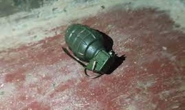 বিশেষজ্ঞ টিমের নিয়ন্ত্রণে গ্রেনেড, রোহিঙ্গা ক্যাম্পে বাড়ছে আতঙ্ক