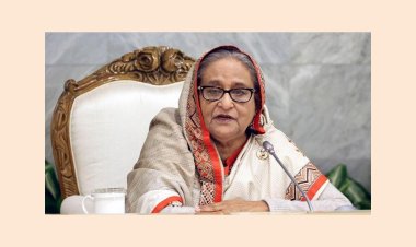 ধাক্কা দিলো আর একেবারে পড়ে গেলো এতো সহজ নয়: প্রধানমন্ত্রী