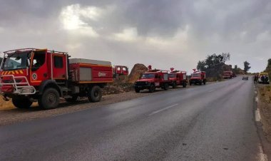  রুম হিটার থেকে নির্গত বিষাক্ত গ্যাসে আলজেরিয়ায় প্রাণ গেল ১৭ জনের