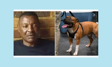 কুকুরের কামড়ে প্রাণ গেল ফুটবলারের