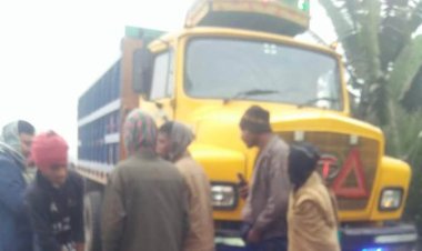  ঝিনাইদহে ট্রাকচাপায় দুই মোটরসাইকেল আরোহী নিহত