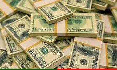  পাকিস্তানে বৈদেশিক মুদ্রার রিজার্ভ ৯ বছরের মধ্যে সর্বনিম্ন   