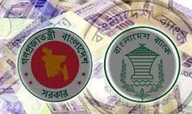 কেন্দ্রীয় ব্যাংক থেকে ঋণে লাগাম টানার পরামর্শ