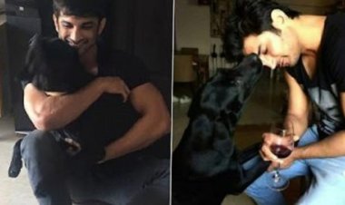 সুশান্তের কাছে চলে গেল তার প্রিয় সঙ্গীও