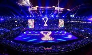 বিশ্বকাপ ফাইনাল দেখেছেন ১৫০ কোটি মানুষ