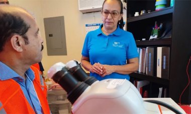 আমরা এত দিন মশা নিয়ন্ত্রণে ভুল পদ্ধতি ব্যবহার করেছি: মেয়র