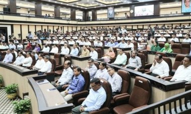 নির্বাচনী বার্তা নিয়ে ফিরবেন ডিসিরা, সম্মেলন শুরু আজ