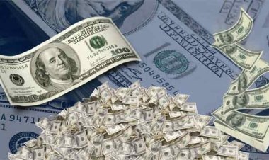 ৭ মাসে রিজার্ভের ৮৫০ কোটি ডলার বিক্রি