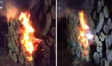 দিনে ব্রাশফায়ারের পর রাতে স’মিলে আগুন দিলো পাহাড়ি সন্ত্রাসীরা