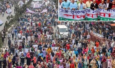সরকারকে বিদায় করতে জনগণ রাস্তায় নেমেছে: মোশাররফ