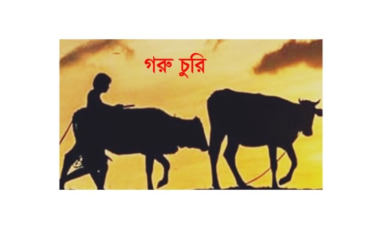 গাজীপুরে গোয়ালঘর থেকে ৯ দুধেল গাভী চুরি