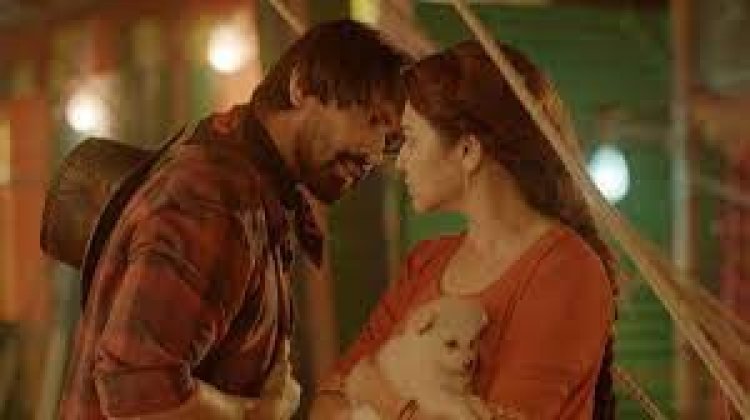 ঢাকায় আবারও ‘বিউটি সার্কাস’
