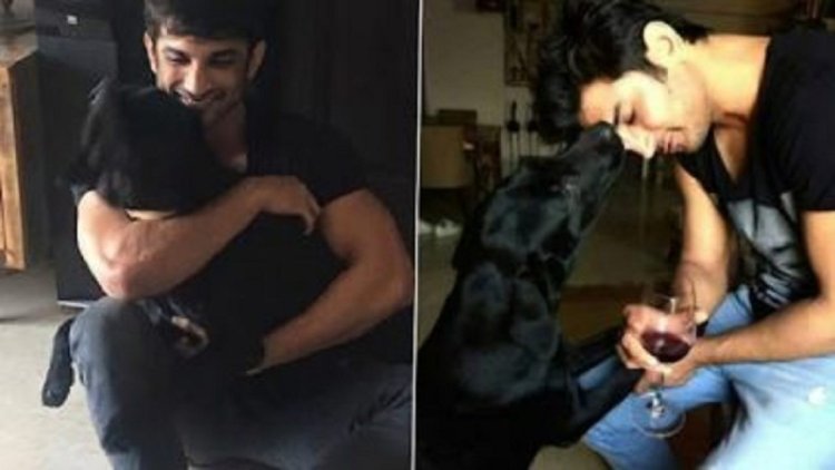 সুশান্তের কাছে চলে গেল তার প্রিয় সঙ্গীও