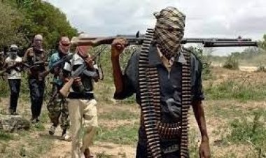 নাইজেরিয়ায় বন্দুকধারীদের সঙ্গে সংঘর্ষে নিহত ৪০