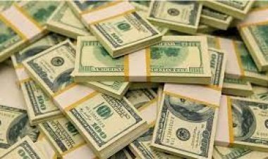 ডলার সংকটে কাঁচামাল আমদানি বাধাগ্রস্ত