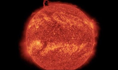 ভেঙে পড়েছে সূর্যের বিশাল অংশ, হতবাক বিজ্ঞানীরা