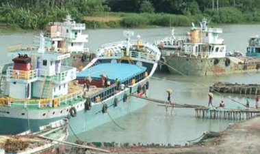 কার্গো জাহাজ থেকে পড়ে শ্রমিকের মৃত্যু