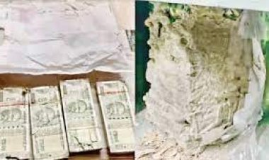 ব্যাংকের লকারের লাখো টাকা সাবার করলো উইপোকা