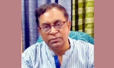 সন্ত্রাস ও নিপীড়ন ছাড়া সরকারের টিকে থাকা কঠিন: সাইফুল হক