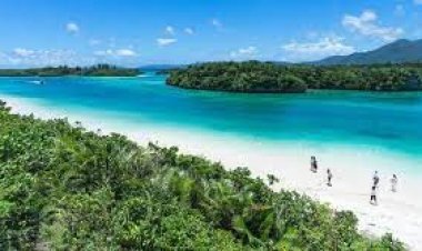 জনবসতিহীন ওকিনাওয়া দ্বীপ কিনে অনলাইনে ঝড় তুললেন চীনা নারী