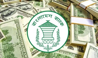 ৭ মাসে ৯৬৭ কোটি ডলার বিক্রি করেছে বাংলাদেশ ব্যাংক