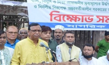 সরকারের পতন ছাড়া বিএনপি থামবে না: সালাম