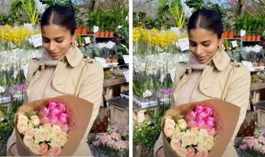 শাহরুখ-কন্যার আবেদনময়ী ছবি ভাইরাল