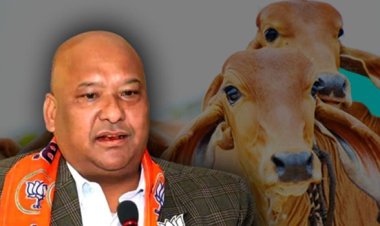 ‘গোমাংস খাই, বিজেপিও করি, অসুবিধা কিসের’ : মেঘালয়ের বিজেপি সভাপতি