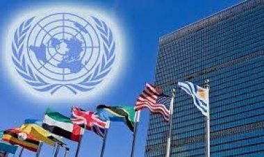 দৈনিক দিনকাল বন্ধে জাতিসংঘের উদ্বেগ