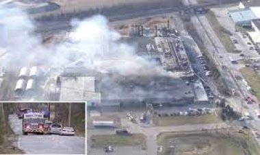 যুক্তরাষ্ট্রে যাত্রীবাহী বিমান বিধ্বস্ত, সব আরোহী নিহত