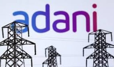 ঢাকায় আদানির প্রতিনিধিদল, রামপাল-পায়রার দামেই বিদ্যুৎ সরবরাহের প্রতিশ্রুতি