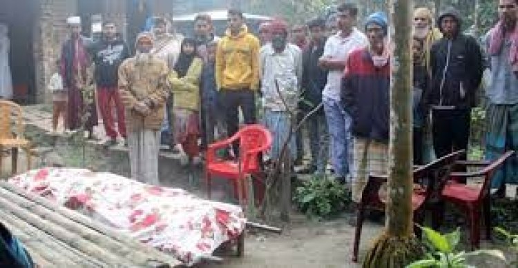 পিরোজপুরে আগুনে পুড়ে ঘুমন্ত যুবকের মৃত্যু