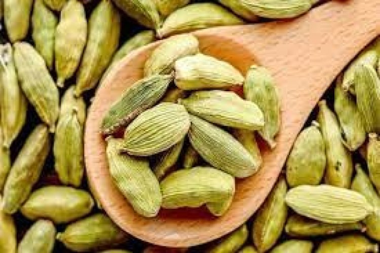 চায়ে এলাচ মিশিয়ে খেলে কী হয়?