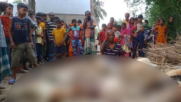 মেয়ের ইটের আঘাতে পিতার মৃত্যু