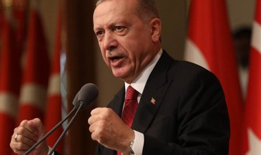 একটা বছর অপেক্ষা করুন: বেঁচে যাওয়াদের এরদোগান