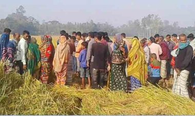 ধানক্ষেতে মিললো পুলিশ সদস্যের স্ত্রী মরদেহ