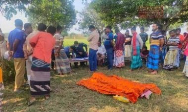 আম বাগানে মিললো অটোরিকশাচালকের মরদেহ