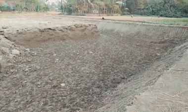 নোয়াখালীতে প্রশাসনের নাম ভাঙিয়ে ফসলিজমির মাটি বিক্রির উৎসব