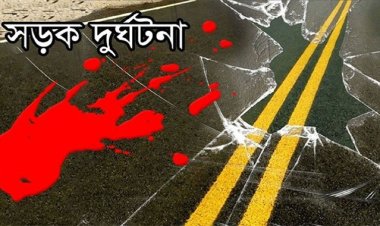 নেত্রকোনায় সড়কে প্রাণ গেল দম্পতির