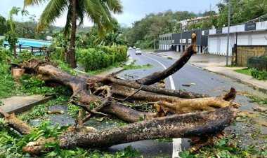 ভানুয়াতুতে জরুরি অবস্থা ঘোষণা